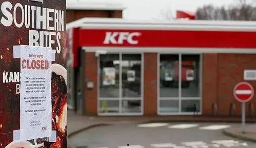 肯德基爆料新闻视频大全,揭秘幕后真相与趣味瞬间